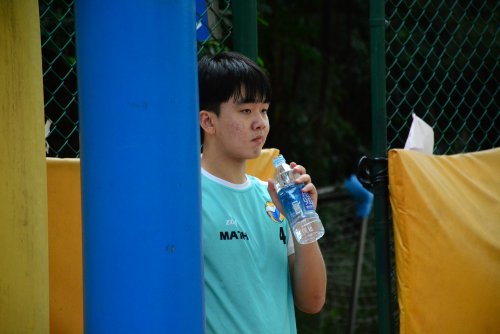 裝飾性圖片